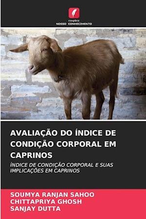 AVALIAÇÃO DO ÍNDICE DE CONDIÇÃO CORPORAL EM CAPRINOS