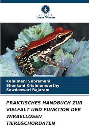 PRAKTISCHES HANDBUCH ZUR VIELFALT UND FUNKTION DER WIRBELLOSEN TIERE&CHORDATEN