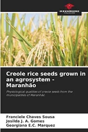 Creole rice seeds grown in an agrosystem - Maranhão