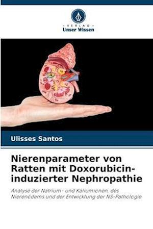 Nierenparameter von Ratten mit Doxorubicin-induzierter Nephropathie