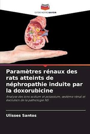 Paramètres rénaux des rats atteints de néphropathie induite par la doxorubicine