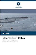 Meeresfisch Cobia