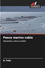 Pesce marino cobia