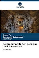 Felsmechanik für Bergbau und Bauwesen