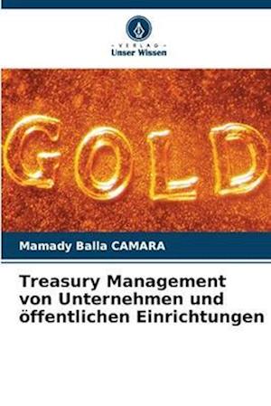 Treasury Management von Unternehmen und öffentlichen Einrichtungen