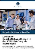 Laufende Geschäftshypothesen in der KMU-Prüfung als Instrument