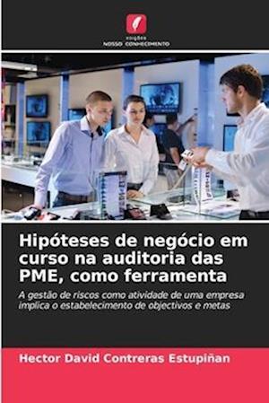 Hipóteses de negócio em curso na auditoria das PME, como ferramenta