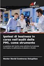 Ipotesi di business in corso nell'audit delle PMI, come strumento