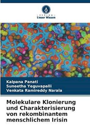 Molekulare Klonierung und Charakterisierung von rekombinantem menschlichem Irisin