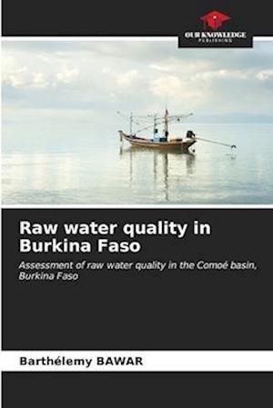 Raw water quality in Burkina Faso