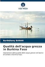 Qualità dell'acqua grezza in Burkina Faso