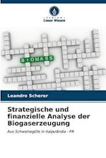 Strategische und finanzielle Analyse der Biogaserzeugung