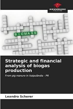 Strategic and financial analysis of biogas production