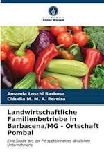 Landwirtschaftliche Familienbetriebe in Barbacena/MG - Ortschaft Pombal