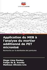 Application du MEB à l'analyse du mortier additionné de PET micronisé