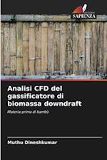 Analisi CFD del gassificatore di biomassa downdraft