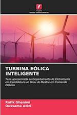 TURBINA EÓLICA INTELIGENTE