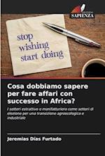 Cosa dobbiamo sapere per fare affari con successo in Africa?