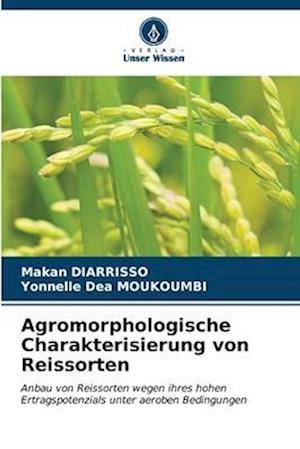 Agromorphologische Charakterisierung von Reissorten