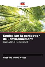 Études sur la perception de l'environnement