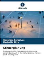 Steuerplanung