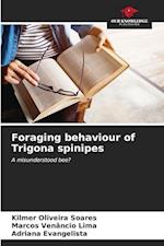 Foraging behaviour of Trigona spinipes