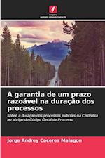 A garantia de um prazo razoável na duração dos processos