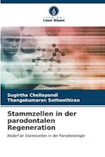 Stammzellen in der parodontalen Regeneration