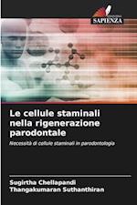 Le cellule staminali nella rigenerazione parodontale