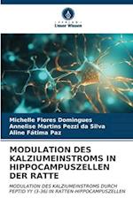 MODULATION DES KALZIUMEINSTROMS IN HIPPOCAMPUSZELLEN DER RATTE