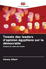 Tweets des leaders d'opinion égyptiens sur la démocratie