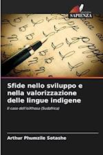 Sfide nello sviluppo e nella valorizzazione delle lingue indigene