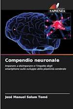 Compendio neuronale