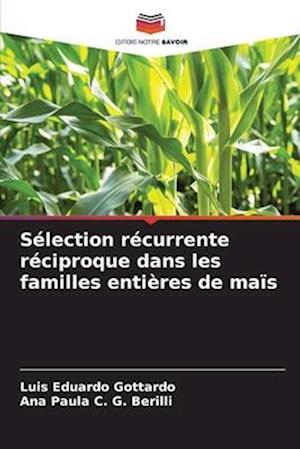 Sélection récurrente réciproque dans les familles entières de maïs