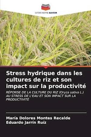 Stress hydrique dans les cultures de riz et son impact sur la productivité