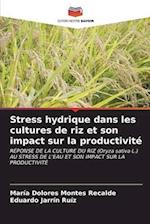 Stress hydrique dans les cultures de riz et son impact sur la productivité