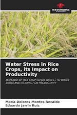 Water Stress in Rice Crops, its Impact on Productivity