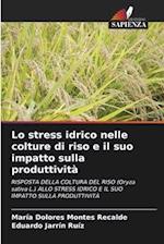 Lo stress idrico nelle colture di riso e il suo impatto sulla produttività