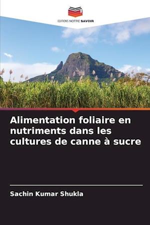 Alimentation foliaire en nutriments dans les cultures de canne à sucre