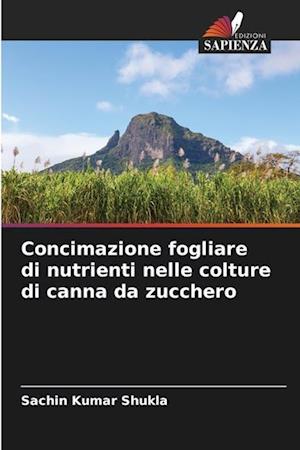 Concimazione fogliare di nutrienti nelle colture di canna da zucchero