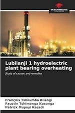 Lubilanji 1 hydroelectric plant bearing overheating