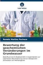 Bewertung der geochemischen Veränderungen im Grundwasser