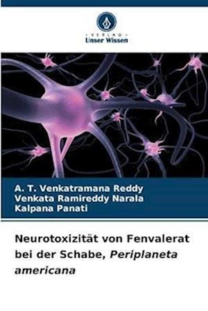 Neurotoxizität von Fenvalerat bei der Schabe, Periplaneta americana