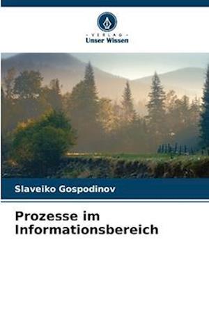 Prozesse im Informationsbereich