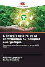 L'énergie solaire et sa contribution au bouquet énergétique