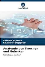 Anatomie von Knochen und Gelenken