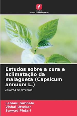 Estudos sobre a cura e aclimatação da malagueta (Capsicum annuum L.)