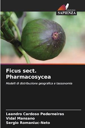 Ficus sect. Pharmacosycea