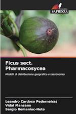 Ficus sect. Pharmacosycea