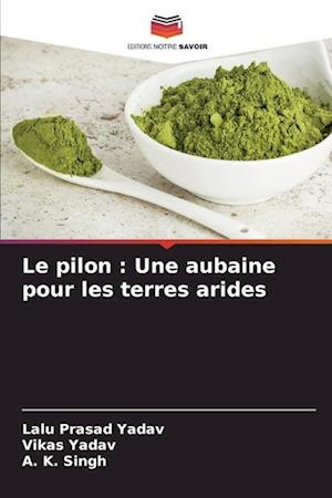 Le pilon : Une aubaine pour les terres arides